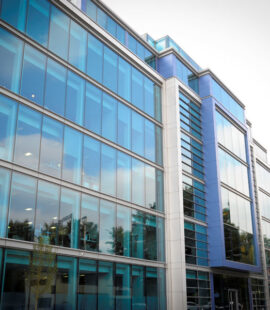 Commercial Windows