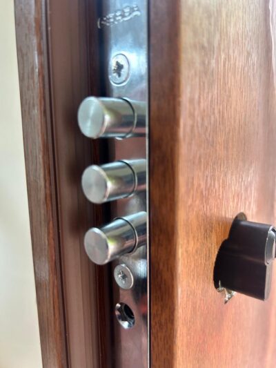 High Security Door